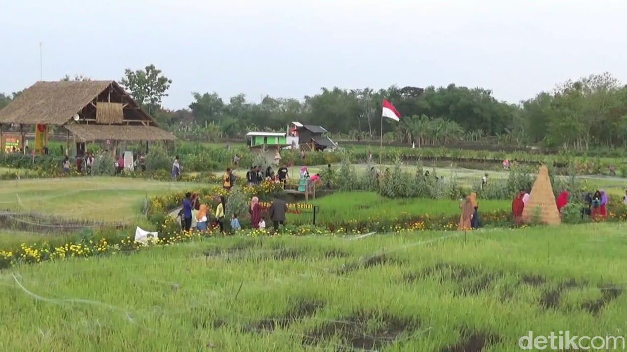 tes kt